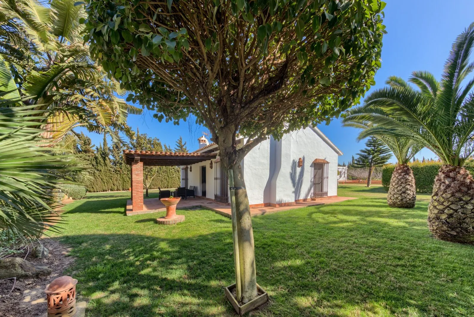 Cortijo El Palmeral