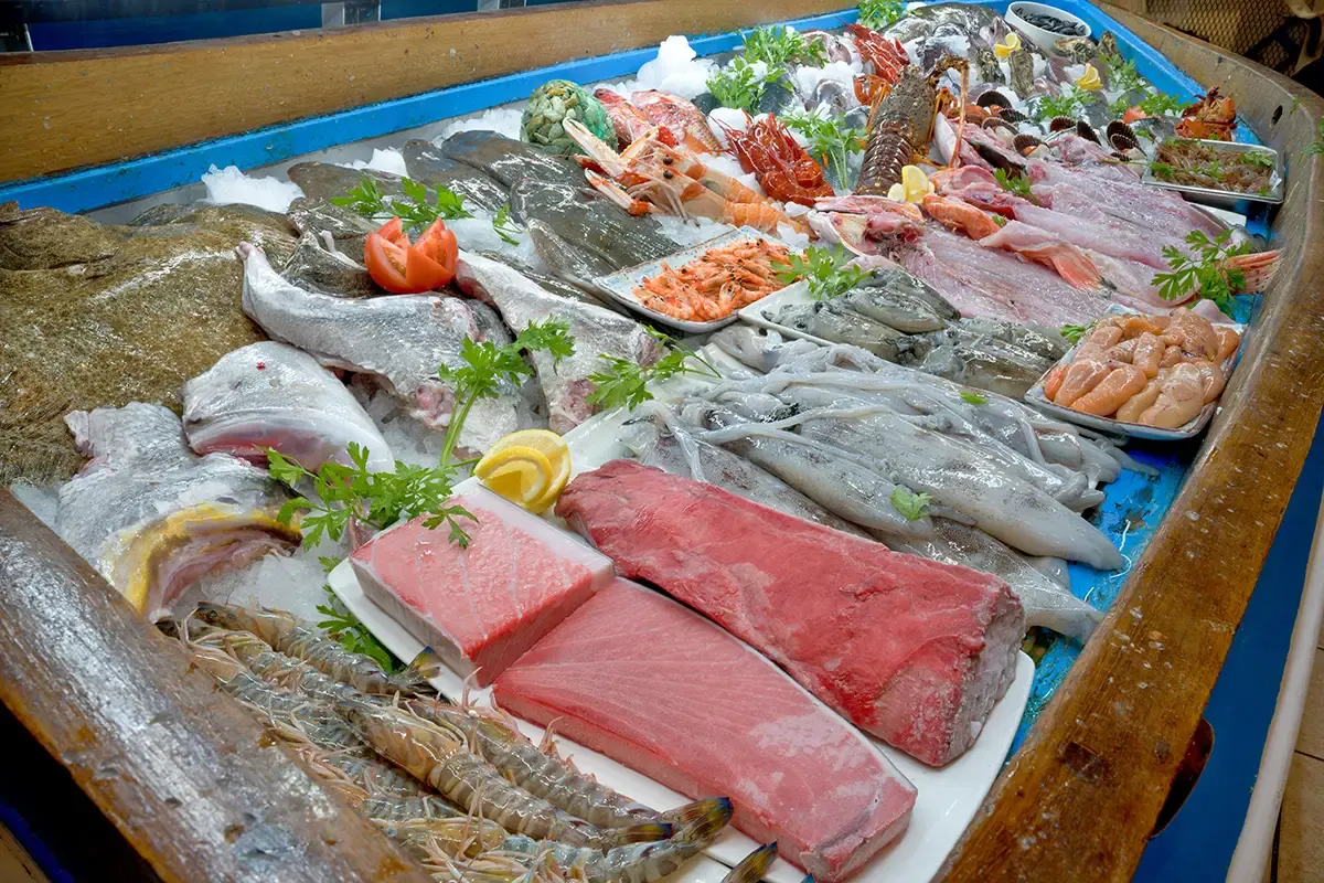 Almadraba-Thunfisch in Conil