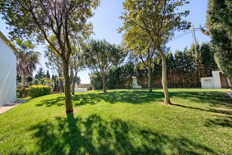 Garden at Hacienda Roche Viejo in Conil