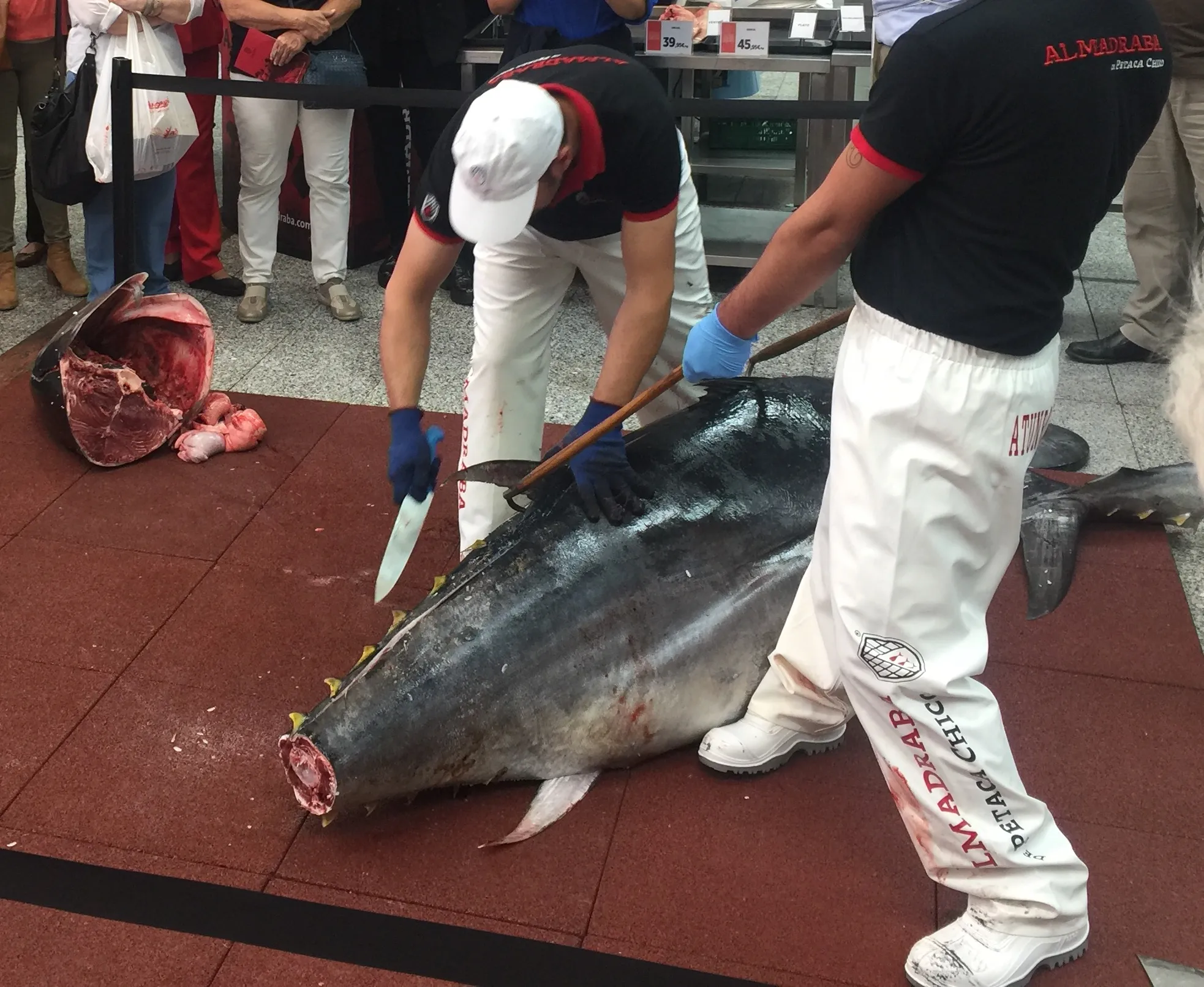 5 überraschende Fakten über die Thunfisch-Route in Conil, die Sie nicht kannten