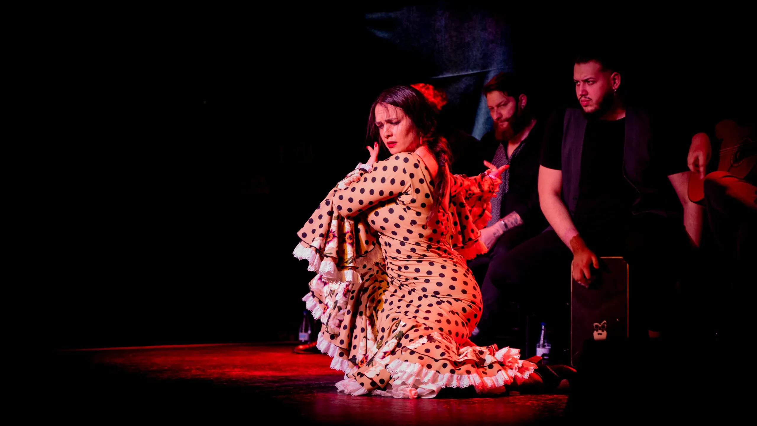 flamenco en conil