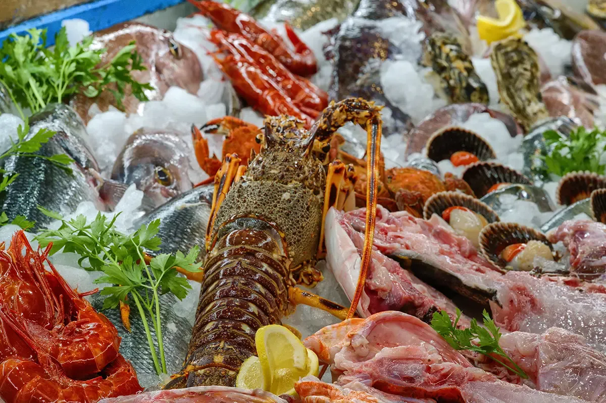 Küche von Cádiz - frittierter Fisch und Thunfisch