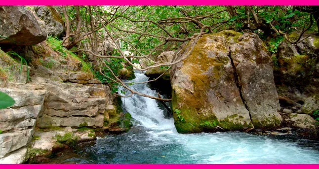Río Majaceite - Villas Flamenco