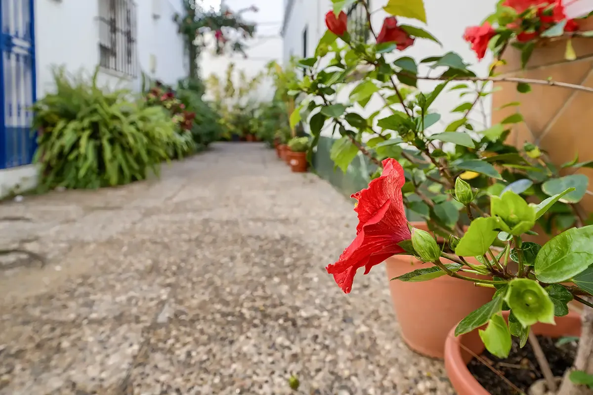 Romantischer Kurzurlaub in Cádiz: Häuser im Angebot