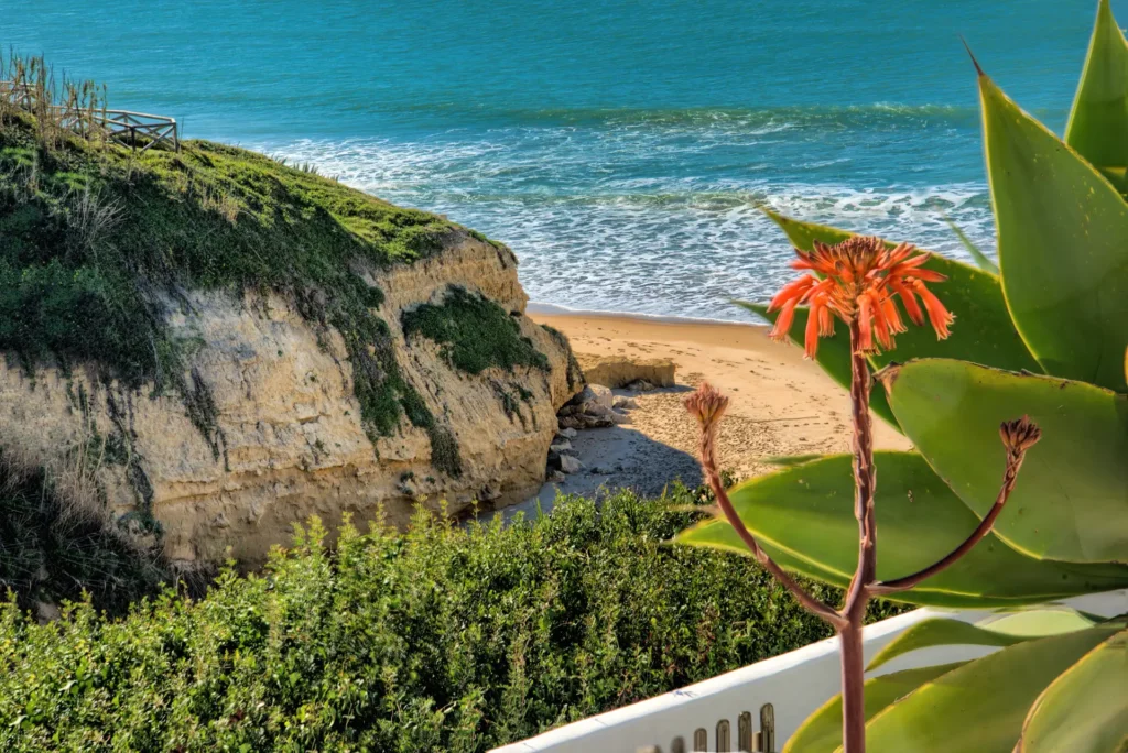 Villa in Conil mit Meerblick