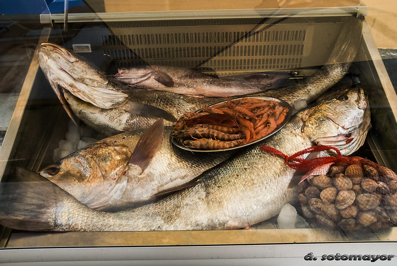 Pescado en el mercado de abastos Cádiz 