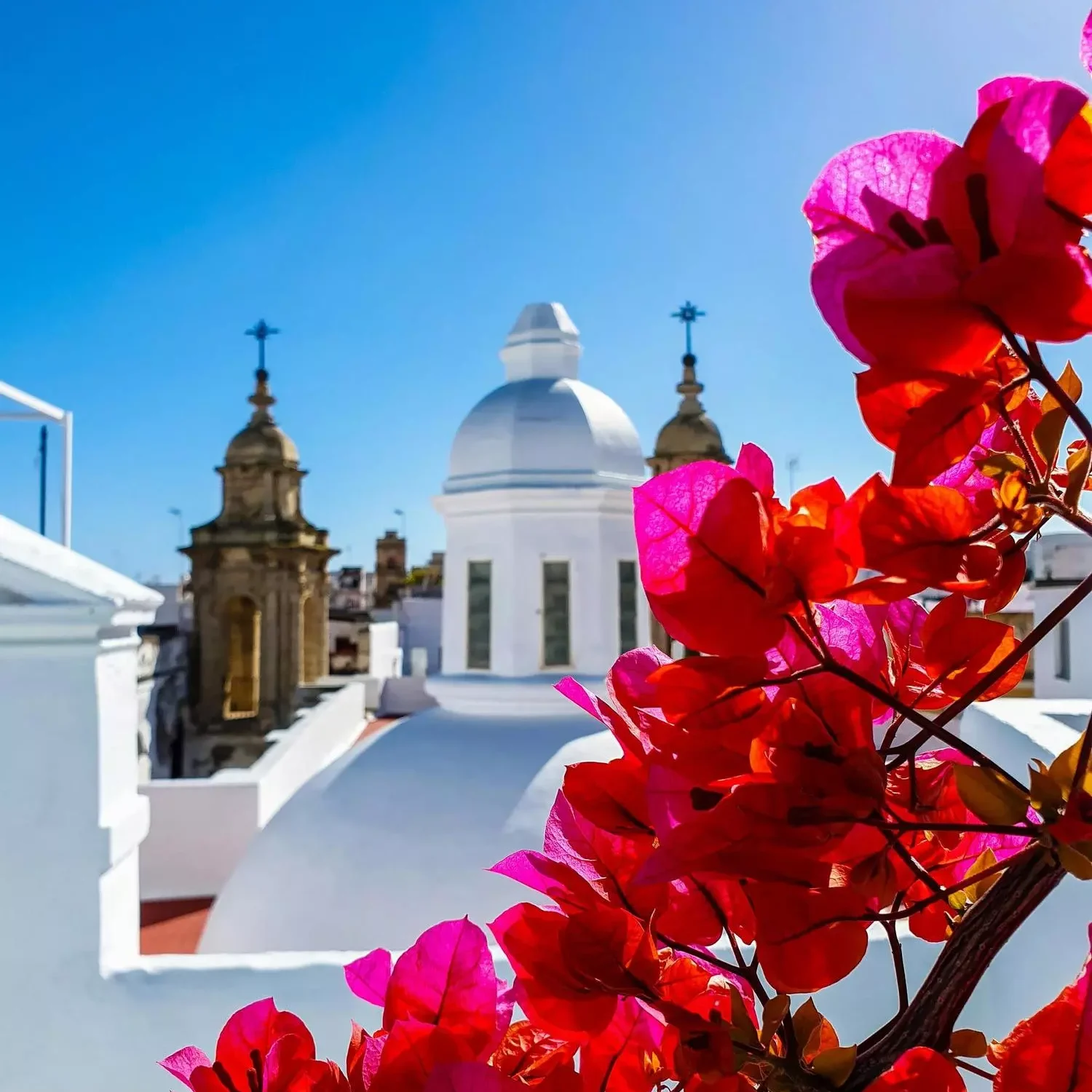 Uitzicht op de daken van Cádiz met bloemen